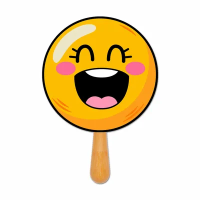 Custom Face Fans