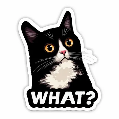 Custom Fridge Magnets