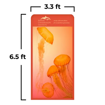 3.3 x 6.5 ft - Imprint Now