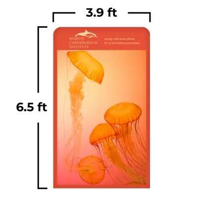 3.9 x 6.5 ft - Imprint Now