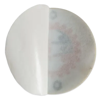 Tape Backing - Imprint Now