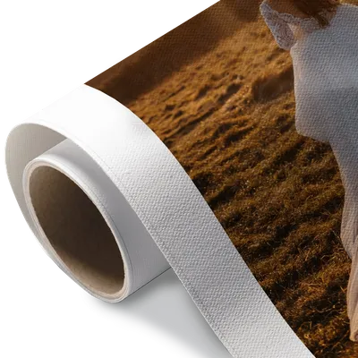 Rolled Canvas Rolled Canvas - Imprint Now