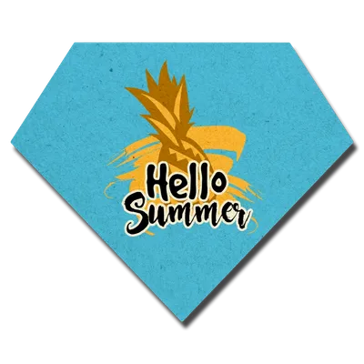 Custom Shape - Air Fresheners Now