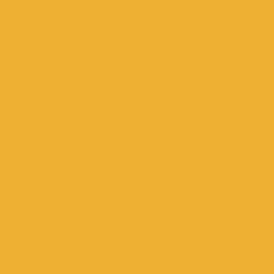 Orange - Imprint Now