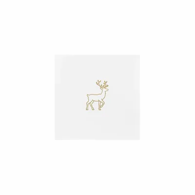 5 in x 5 in - Imprint Now