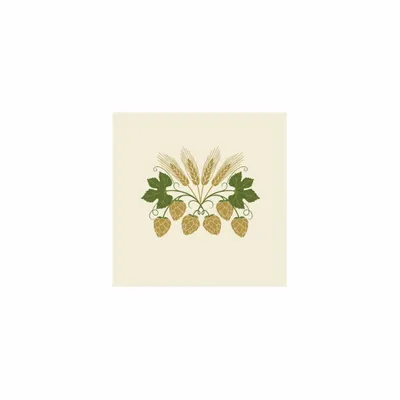 5 in x 5 in - Imprint Now