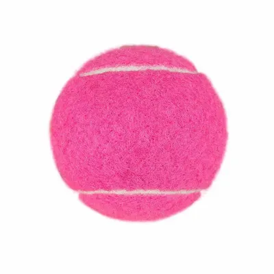 Fuchsia - Imprint Now