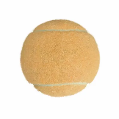 Rice Orange - Imprint Now