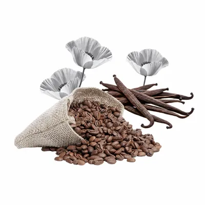 Black Opium - Imprint Now