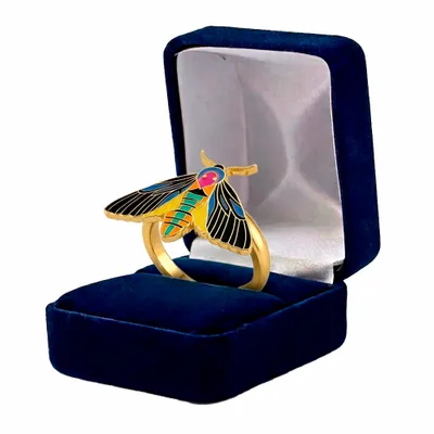 Blue Velvet Box - Imprint Now