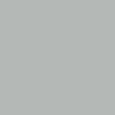 Light Gray - Imprint Now