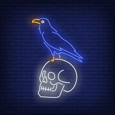 Crow Sitting Human Skull Neon Sign