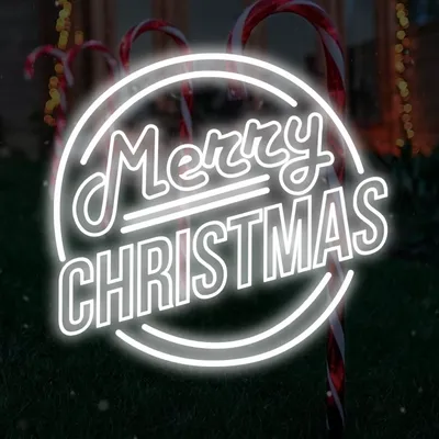 Merry Christmas Double Circle Text Neon Sign
