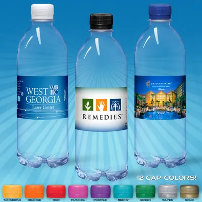 16.9oz Flat Water Bottle (Clear)