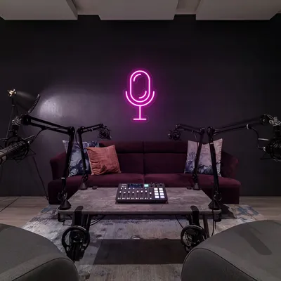 Stream Microphone Neon Sign