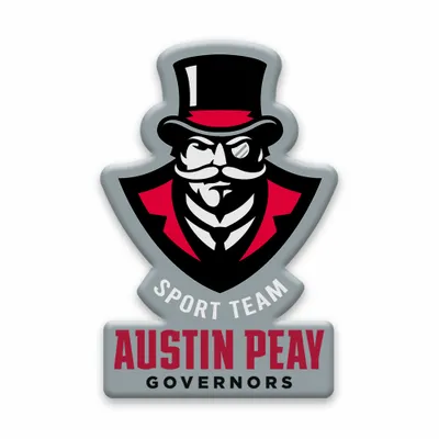 Custom Shaped Magnets