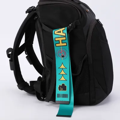 Luggage Streamer