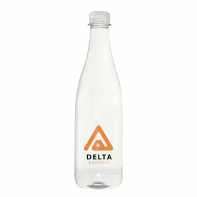 16.9 oz Champagne Style Water Bottle