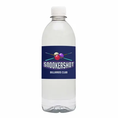16.9 oz Light Blue Water Bottle