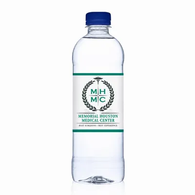 16.9 oz Bullet Bottles – Private Label Water