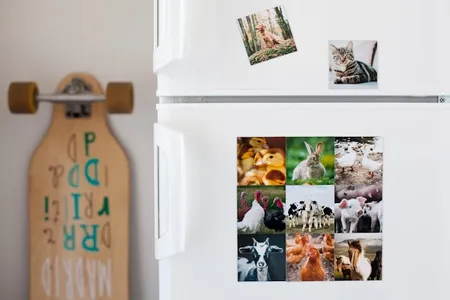 How To Make Photo Magnets At Home: A Complete DIY Guide