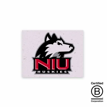 Seed Paper Panel Cards - Imprint Now