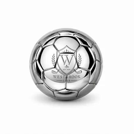 Soccer Ball Stainless Steel Ice Cubes - Imprint Now