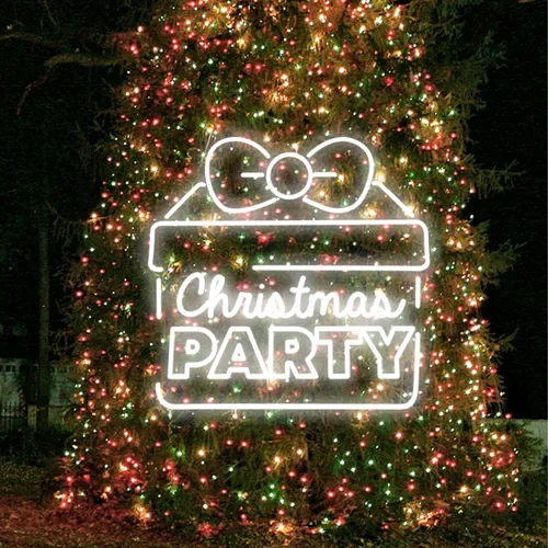 Christmas Party Gift Box Neon Sign - Imprint Now
