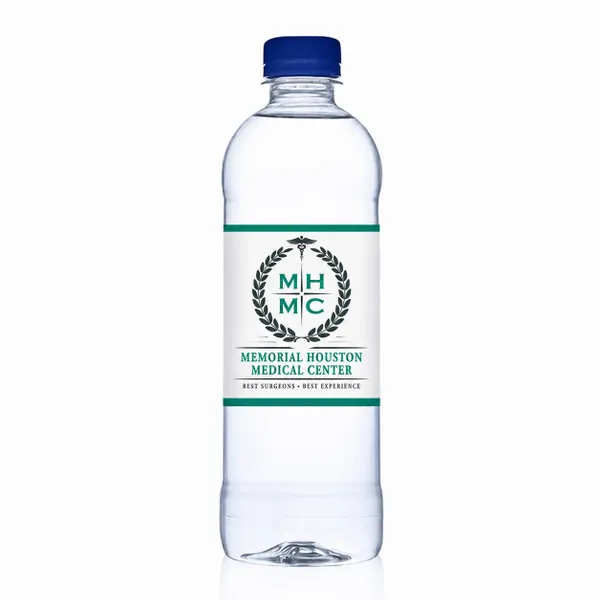 16.9 oz Bullet Bottles – Private Label Water - Imprint Now