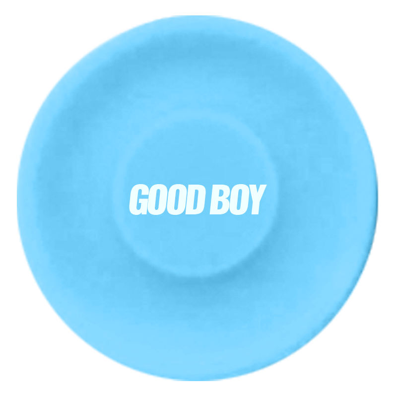 Silica Gel Flying Disc 2.6 inch
